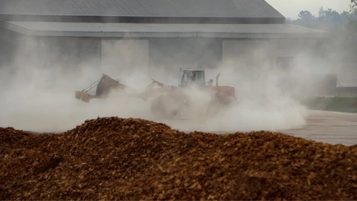 Portugal Turns Kitchen Waste into Sky-Friendly Fuel