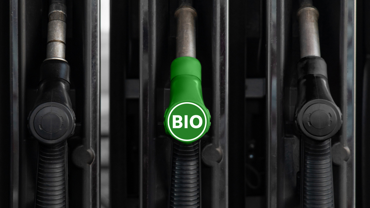 Fuel pump nozzle with green bio label displayed between conventional fuel nozzles.